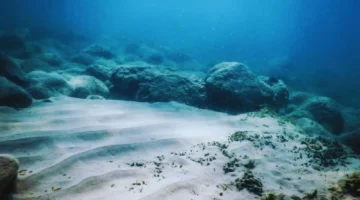 اكتشاف مذهل ميكروبات نائمة ملايين السنين تستيقظ بتحرك الأرض